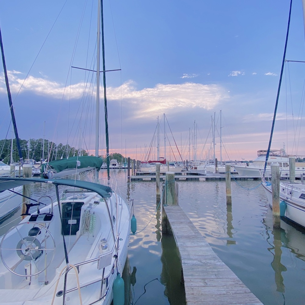 Meet your Posher, Peyton